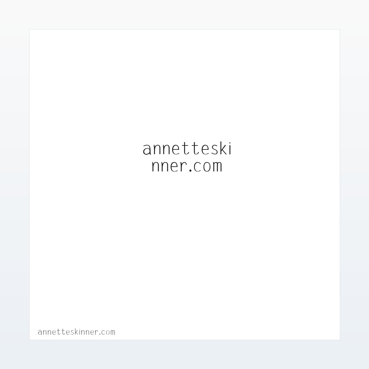 annetteskinner.com - Home 方图